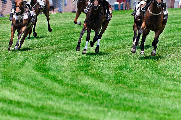 Bet on Horse Racing