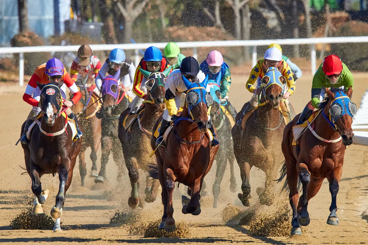 5 best tips To Bet on Horse Racing to Win