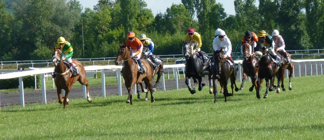 Strategies for Improving Horse Racing Betting Skills